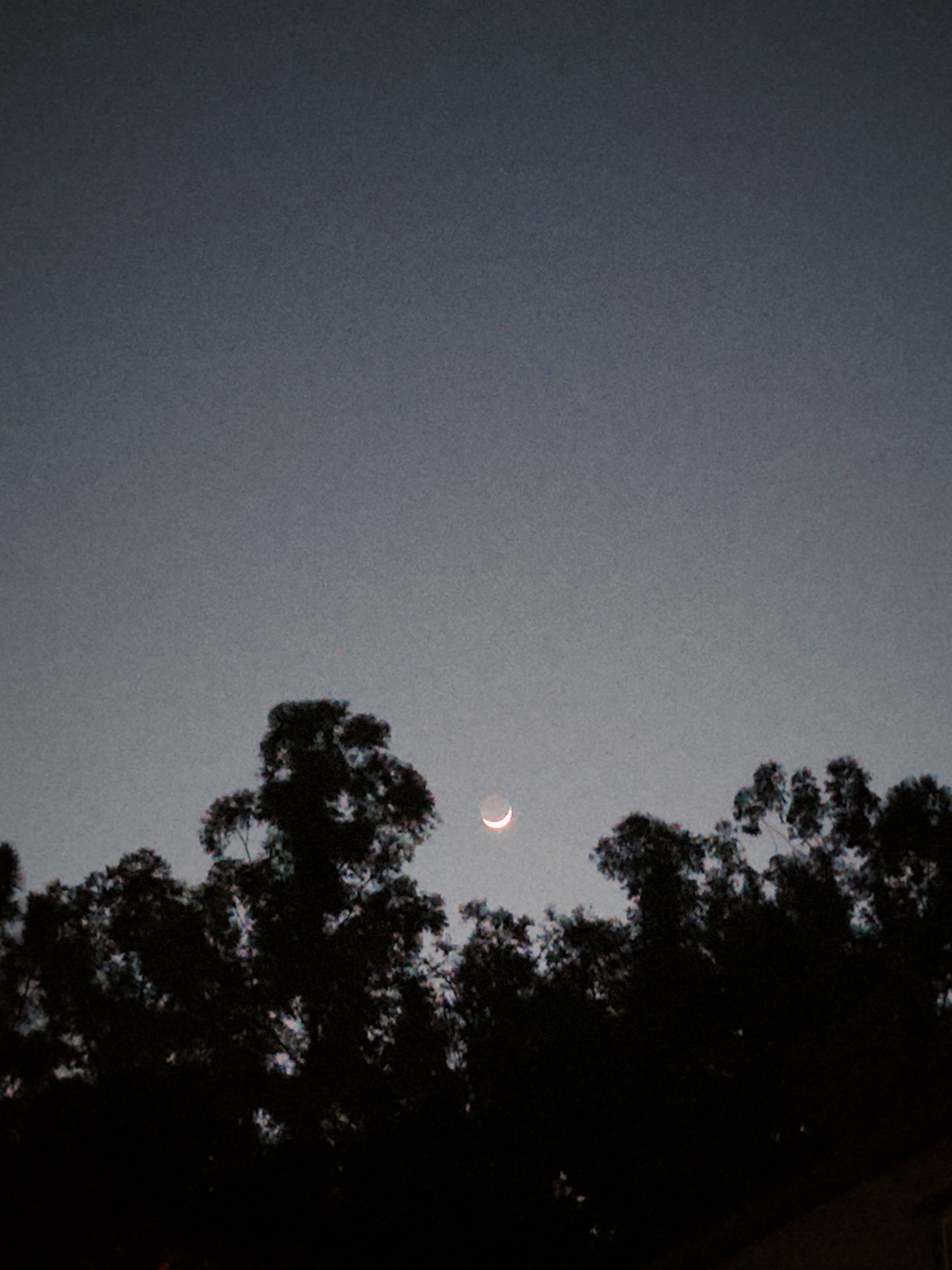 moon za moooooooooooon!